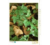 CALVENDO Puzzle Vigne de Lierre 1000 Pieces 48 x 64 cm from Digital-Art