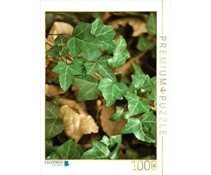 CALVENDO Puzzle Vigne de Lierre 1000 Pieces 48 x 64 cm from Digital-Art