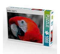 CALVENDO Puzzle Visages - Ara Perroquet 1000 Pieces 64 x 48 cm from Peter Roder