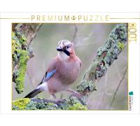 CALVENDO Puzzle Vögel aus Wald und Garten - Der Eichelhäher | 1000 Teile Lege-Gr