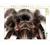 CALVENDO Puzzle Vogelspinne 1000 Teile Puzzle quer 1000 Pieces 64 x 48 cm from Bo Valentino