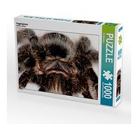 CALVENDO Puzzle Vogelspinne 1000 Teile Puzzle quer 1000 Pieces 64 x 48 cm from Bo Valentino