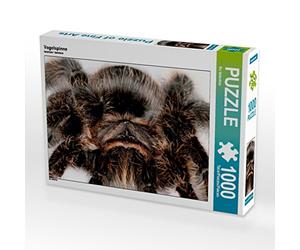CALVENDO Puzzle Vogelspinne 1000 Teile Puzzle quer 1000 Pieces 64 x 48 cm from Bo Valentino