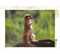 CALVENDO Puzzle Halt Stop - ich habe Alles im Blick! 1000 Teile Puzzle quer 1000 Pieces 64 x 48 cm from Barbara Mielewczyk
