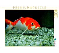 CALVENDO Puzzle Wakin Goldfish | 1000 pieces, finished size 25.2 × 18.9 in (64 ×
