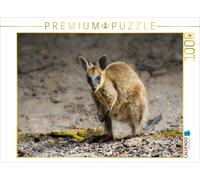 CALVENDO Puzzle Wallaby - South Australia | 1000 pieces, finished size 25.2 × 18