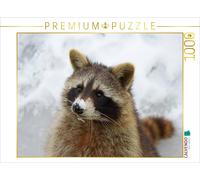 CALVENDO Puzzle Raton Laveur dans la Neige 1000 Pieces 64 x 48 cm from Antje Lindert-Rottke