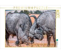 CALVENDO Puzzle Buffalo d'eau 1000 Pieces 64 x 48 cm from Peter Roder