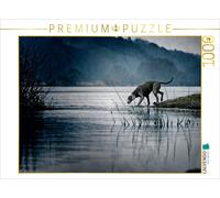 CALVENDO Puzzle Weimaraner am Fluss 1000 Teile Puzzle quer | 1000 Teile Lege-Grö