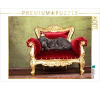 CALVENDO Puzzle Weimaraner Welpe / Weimaraner Puppy 1000 Teile Puzzle quer 1000 Pieces 64 x 48 cm from Jeanette Hutfluss