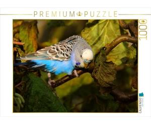 CALVENDO Puzzle Wellensittich im Buchenwald 1000 Teile Puzzle quer 1000 Pieces 64 x 48 cm from Björn Bergmann