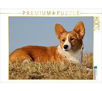 CALVENDO Puzzle Welsh Corgi - Goblin sur 4 Pattes 1000 Pieces 64 x 48 cm from Sista-Tierfoto