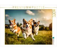 CALVENDO Puzzle Welsh Corgi Pembroke in Aktion | 1000 pieces, finished size 25.2