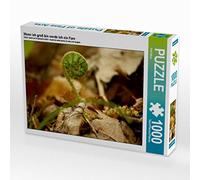 CALVENDO Puzzle « Wenn ich groß Bin werde ich EIN Fougère » 1000 pièces Taille de la Pose 64 x 48 cm Photo Puzzle Image de Pörli Won