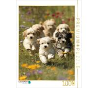CALVENDO Puzzle We're not just cute-we're a whole fluffy gang | 1000 pieces, fin