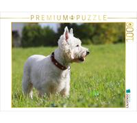 CALVENDO Puzzle Terrier Blanc du West Highland 1000 Pieces 64 x 48 cm from Barbara Mielewczyk