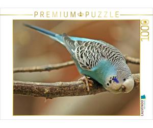 CALVENDO Puzzle What's going on down there? | 1000 pieces, finished size 25.2 ×