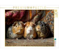CALVENDO Puzzle When snouts enchant - three guinea pigs | 1000 pieces, finished