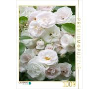CALVENDO Puzzle White roses | 1000 pieces, finished size 25.2 × 18.9 in (64 × 48