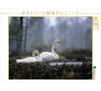 CALVENDO Puzzle Les cygnes chanteurs. Finlande 1000 Pieces 64 x 48 cm from Philippe Henry