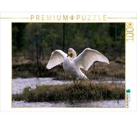 CALVENDO Puzzle Les cygnes chanteurs. Finlande 1000 Pieces 64 x 48 cm from Philippe Henry