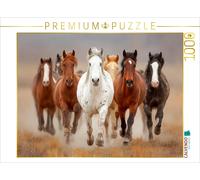 CALVENDO Puzzle Wild lebende Mustangs im Galopp | 1000 Teile Lege-Größe 64 × 48