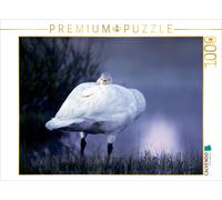 CALVENDO Puzzle Wild Swan. Finland | 1000 pieces, finished size 25.2 × 18.9 in (