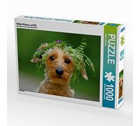 CALVENDO Puzzle Wilde Wicken Auf Elli | 1000 pièces - Dimensions : 64 x 48 cm - Puzzle Photo pour des Heures de Bonheur