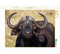 CALVENDO Puzzle Le Buffle du Cap en Afrique 1000 Pieces 64 x 48 cm from Wibke Woyke