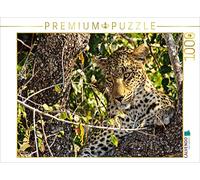 CALVENDO Puzzle Wilder Leopard Auf Baum 1000 Teile Puzzle quer 1000 Pieces 64 x 48 cm from Markus Bissig