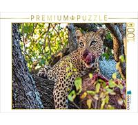 CALVENDO Puzzle Wilder Leopard Auf Baum 1000 Teile Puzzle quer 1000 Pieces 64 x 48 cm from Markus Bissig
