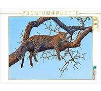 CALVENDO Puzzle Wilder Leopard Auf Baum 1000 Teile Puzzle quer 1000 Pieces 64 x 48 cm from Markus Bissig