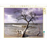 CALVENDO Puzzle Der Winter ist EIN Künstler 1000 Teile Puzzle quer 1000 Pieces 64 x 48 cm from Renate Grobelny