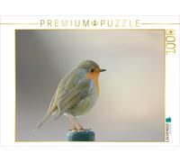CALVENDO Puzzle Winter is coming | 1000 pieces, finished size 25.2 × 18.9 in (64