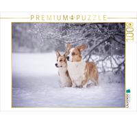 CALVENDO Puzzle La Magie de l'hiver avec Les Corgwn 1000 Pieces 64 x 48 cm from Maria Ahrens