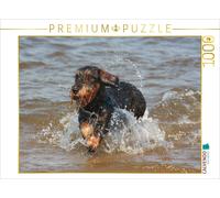 CALVENDO Puzzle Wire-haired dachshund playing in the water | 1000 pieces, finish