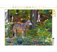CALVENDO Puzzle Wolf in the outdoor animal enclosure | 1000 pieces, finished siz