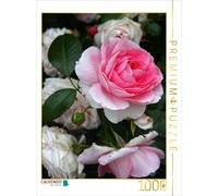 CALVENDO Puzzle Wunderschöne Rosen im Garten | 1000 Teile Lege-Größe 64x48cm Fot