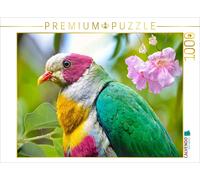 CALVENDO Puzzle Yellow-breasted Fruit Dove | 1000 pieces, finished size 25.2 × 1
