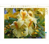 CALVENDO Puzzle Yellow rhododendron | 1000 pieces, finished size 25.2 × 18.9 in