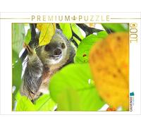 CALVENDO Puzzle Yoo-hoo ! Où suis-Je ? 1000 Pieces 64 x 48 cm from Rose Hurley