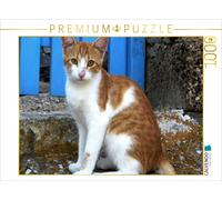 CALVENDO Puzzle Young female cat in front of a traditional Gr oor | 1000 pie