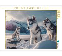 CALVENDO Puzzle Young husky puppies | 1000 pieces, finished size 25.2 × 18.9 in