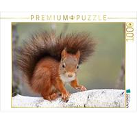 CALVENDO Puzzle Young Jack 1000 Pieces 64 x 48 cm from Tine Meier