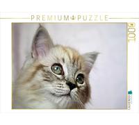 CALVENDO Puzzle Zauberhaft 1000 Teile Puzzle quer 1000 Pieces 64 x 48 cm from Jennifer Chrystal