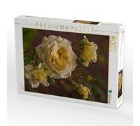 CALVENDO Puzzle Zauberhafte Rosen 1000 Teile Puzzle quer 1000 Pieces 64 x 48 cm from Andrea Potratz.