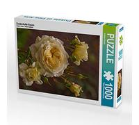 CALVENDO Puzzle Zauberhafte Rosen 1000 Teile Puzzle quer 1000 Pieces 64 x 48 cm from Andrea Potratz.