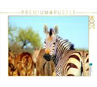 CALVENDO Puzzle Zebra 1000 Pieces 64 x 48 cm from Eduard Tkocz