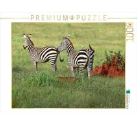 CALVENDO Puzzle Zebra 1000 Pieces 64 x 48 cm from Heinz-Peter Schwerin