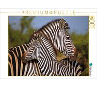 CALVENDO Puzzle Zebra-Kleinfamilie, Afrika | 1000 Teile Lege-Größe 64 × 48 cm Fo
